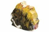 Polished Petrified Wood (Araucarioxylon) End-Cut - Arizona #336658-2